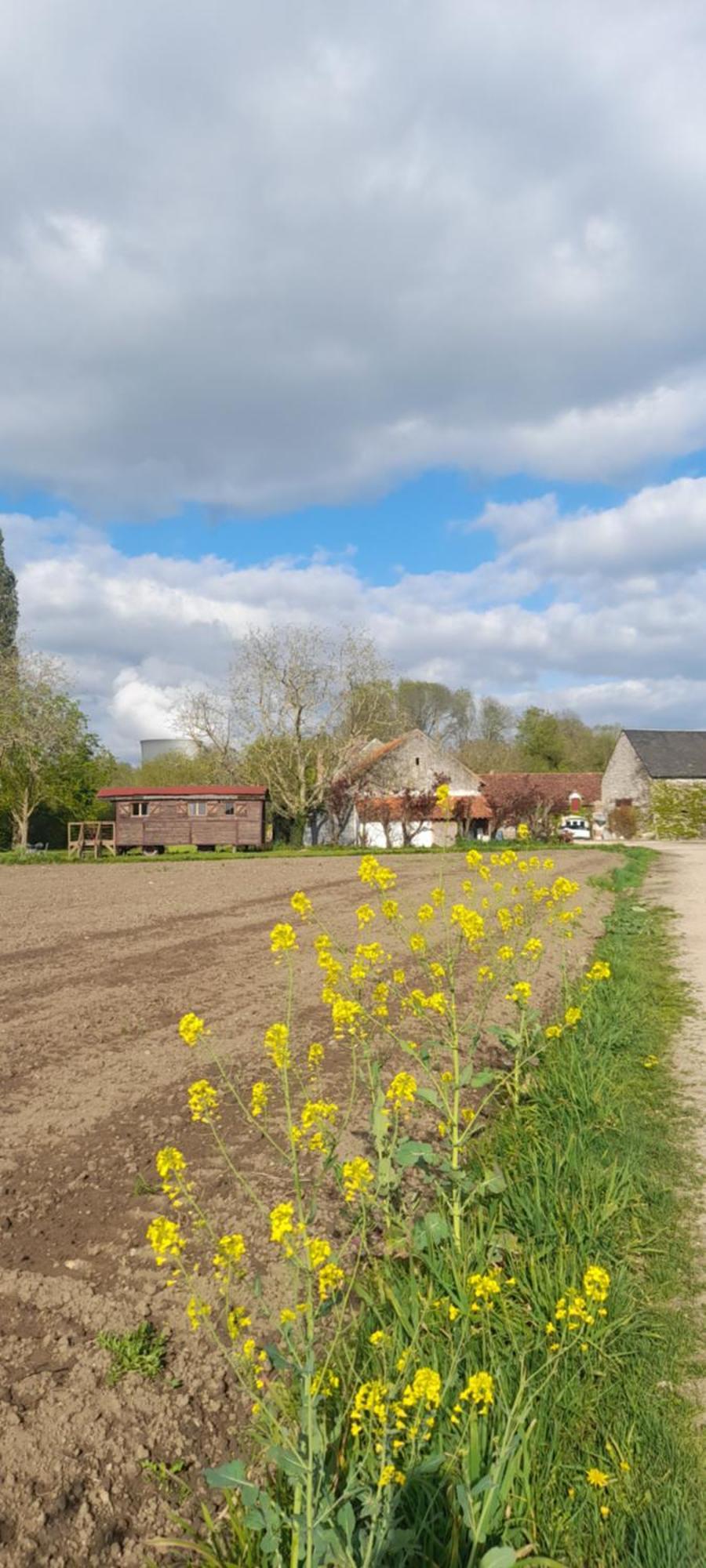 Bed and Breakfast La Ferme De L'Isle Et Sa Roulotte Avaray Exteriér fotografie